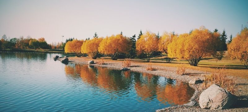 Lloydminster Runners